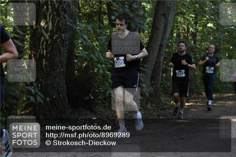 28.09.2025 - 33. Volkslauf durch das schöne Alstertal Strokosch-Dieckow http://msf.ph/oto/8969289 28.09.2025 11:25:06 Laufen 3309, 3313, 3312 meine-sportfotos.de