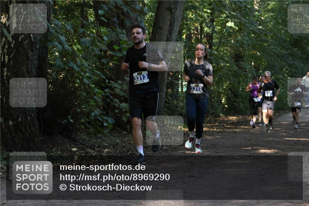 28.09.2025 - 33. Volkslauf durch das schöne Alstertal Strokosch-Dieckow http://msf.ph/oto/8969290 28.09.2025 11:25:07 Laufen 3313, 3312 meine-sportfotos.de