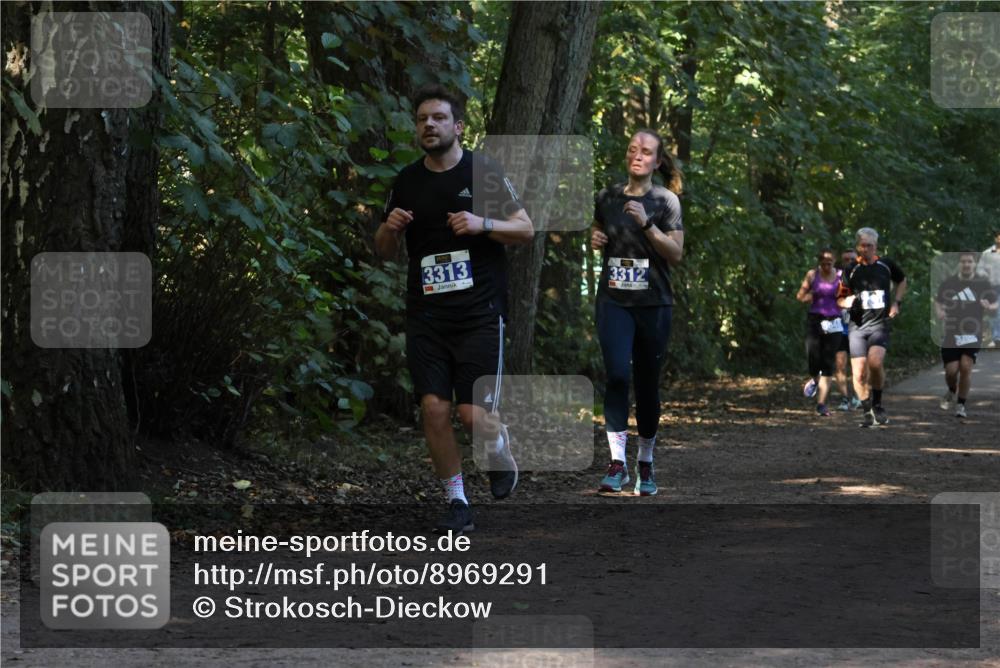 28.09.2025 - 33. Volkslauf durch das schöne Alstertal Strokosch-Dieckow http://msf.ph/oto/8969291 28.09.2025 11:25:07 Laufen 3313, 3312 meine-sportfotos.de