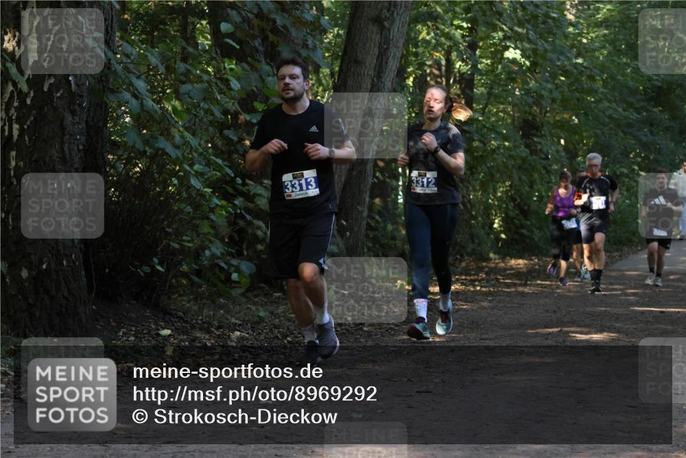 28.09.2025 - 33. Volkslauf durch das schöne Alstertal Strokosch-Dieckow http://msf.ph/oto/8969292 28.09.2025 11:25:07 Laufen 3313, 3312 meine-sportfotos.de