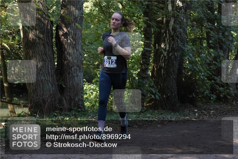 28.09.2025 - 33. Volkslauf durch das schöne Alstertal Strokosch-Dieckow http://msf.ph/oto/8969294 28.09.2025 11:25:11 Laufen 3312 meine-sportfotos.de