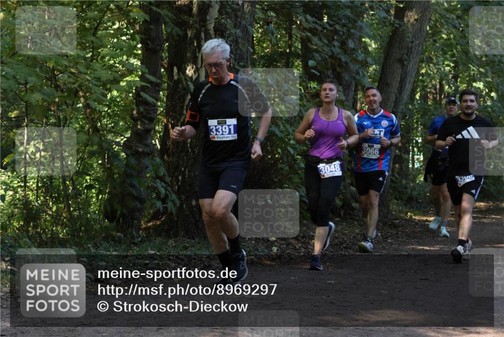 28.09.2025 - 33. Volkslauf durch das schöne Alstertal Strokosch-Dieckow http://msf.ph/oto/8969297 28.09.2025 11:25:16 Laufen 3391, 3048, 3066 meine-sportfotos.de