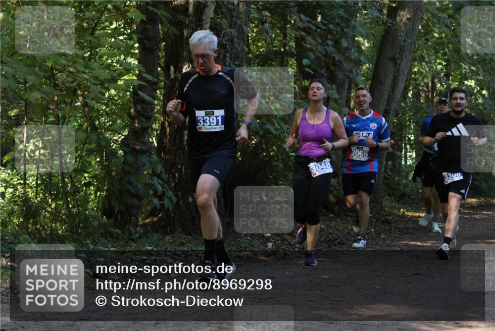 28.09.2025 - 33. Volkslauf durch das schöne Alstertal Strokosch-Dieckow http://msf.ph/oto/8969298 28.09.2025 11:25:16 Laufen 3391, 3048, 3066, 3308 meine-sportfotos.de