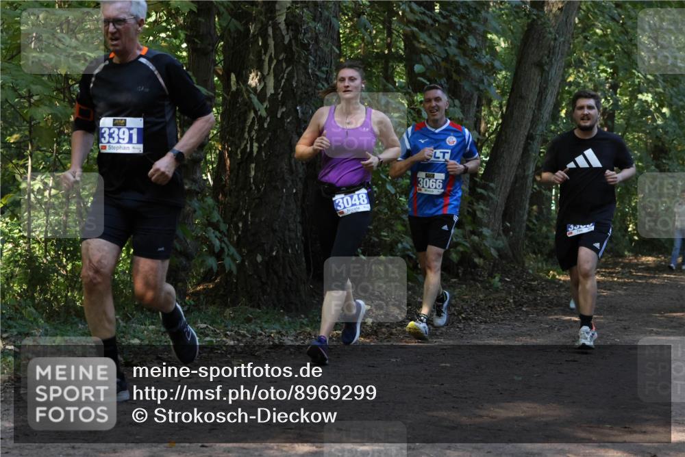 28.09.2025 - 33. Volkslauf durch das schöne Alstertal Strokosch-Dieckow http://msf.ph/oto/8969299 28.09.2025 11:25:16 Laufen 3391, 3048, 3066 meine-sportfotos.de