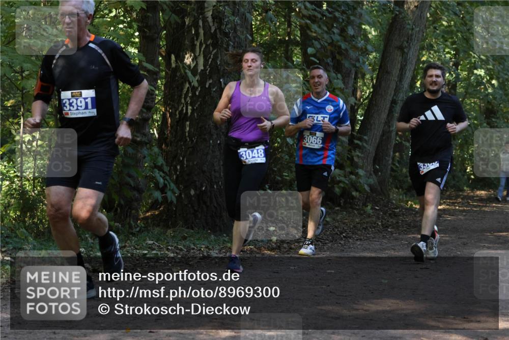 28.09.2025 - 33. Volkslauf durch das schöne Alstertal Strokosch-Dieckow http://msf.ph/oto/8969300 28.09.2025 11:25:16 Laufen 3391, 3, 3048, 3066 meine-sportfotos.de