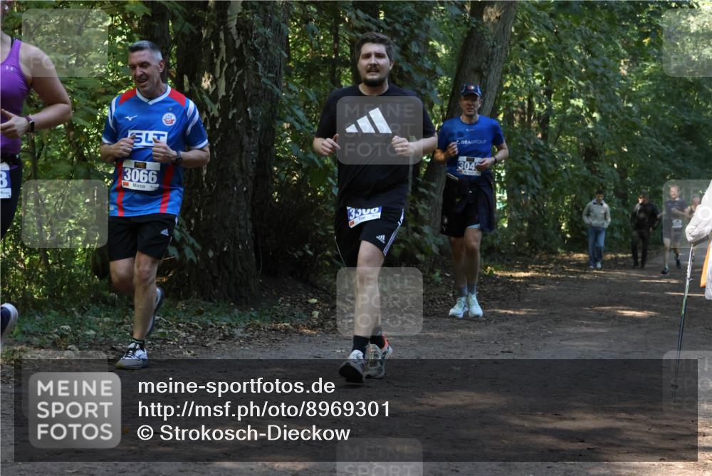 28.09.2025 - 33. Volkslauf durch das schöne Alstertal Strokosch-Dieckow http://msf.ph/oto/8969301 28.09.2025 11:25:18 Laufen 3066, 3300, 304 meine-sportfotos.de