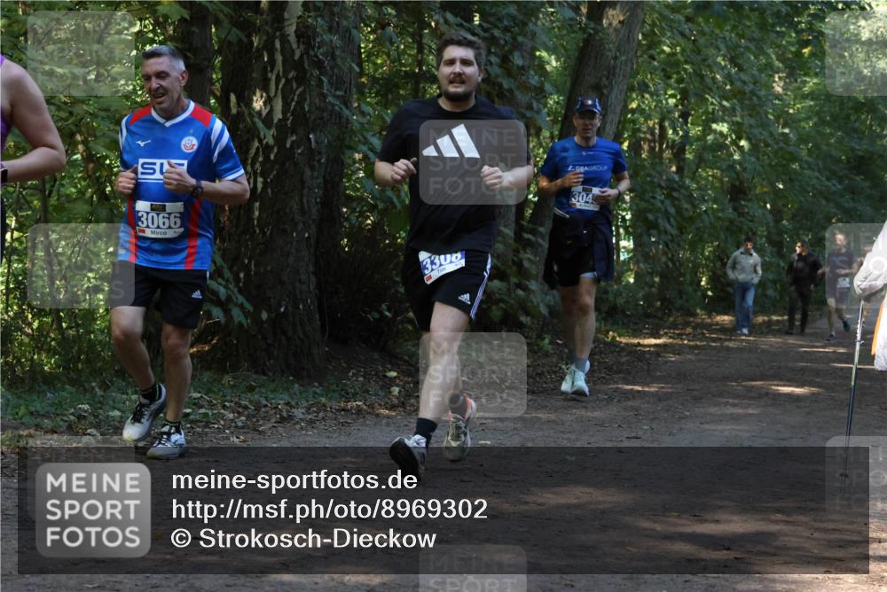 28.09.2025 - 33. Volkslauf durch das schöne Alstertal Strokosch-Dieckow http://msf.ph/oto/8969302 28.09.2025 11:25:18 Laufen 3066, 3300, 304 meine-sportfotos.de