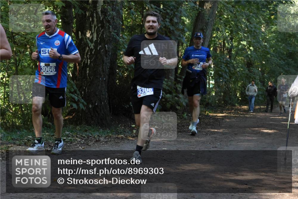 28.09.2025 - 33. Volkslauf durch das schöne Alstertal Strokosch-Dieckow http://msf.ph/oto/8969303 28.09.2025 11:25:18 Laufen 3066, 3, 3300, 4, 3045 meine-sportfotos.de