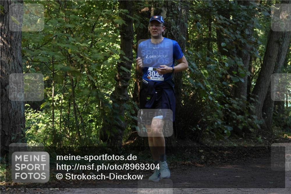 28.09.2025 - 33. Volkslauf durch das schöne Alstertal Strokosch-Dieckow http://msf.ph/oto/8969304 28.09.2025 11:25:20 Laufen 3045 meine-sportfotos.de