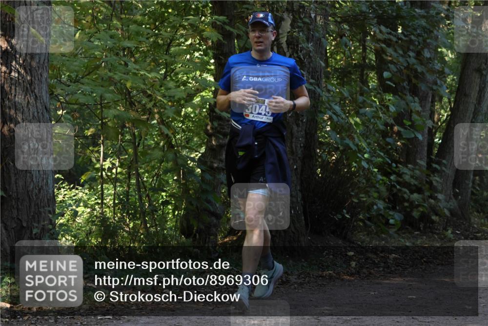 28.09.2025 - 33. Volkslauf durch das schöne Alstertal Strokosch-Dieckow http://msf.ph/oto/8969306 28.09.2025 11:25:20 Laufen 3045 meine-sportfotos.de