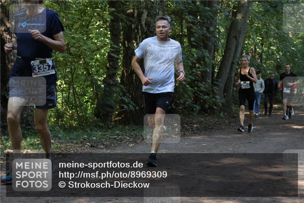 28.09.2025 - 33. Volkslauf durch das schöne Alstertal Strokosch-Dieckow http://msf.ph/oto/8969309 28.09.2025 11:25:30 Laufen 3357, 3254 meine-sportfotos.de