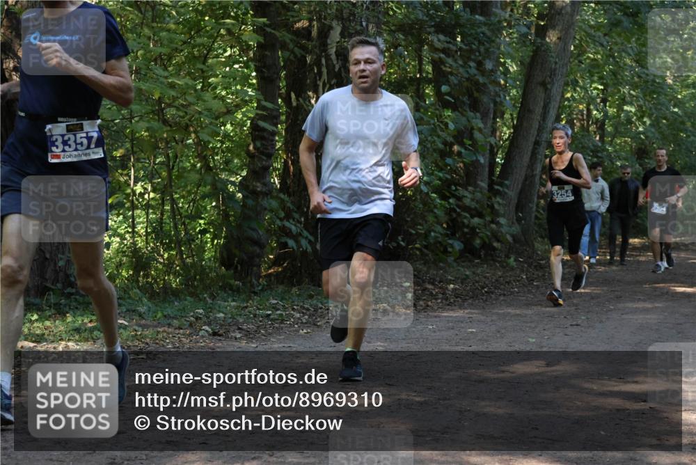 28.09.2025 - 33. Volkslauf durch das schöne Alstertal Strokosch-Dieckow http://msf.ph/oto/8969310 28.09.2025 11:25:30 Laufen 3357, 3254 meine-sportfotos.de