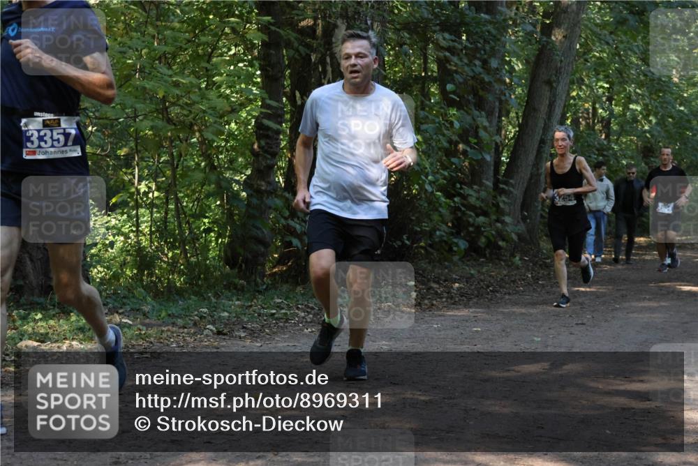 28.09.2025 - 33. Volkslauf durch das schöne Alstertal Strokosch-Dieckow http://msf.ph/oto/8969311 28.09.2025 11:25:30 Laufen 7, 3357, 3254 meine-sportfotos.de