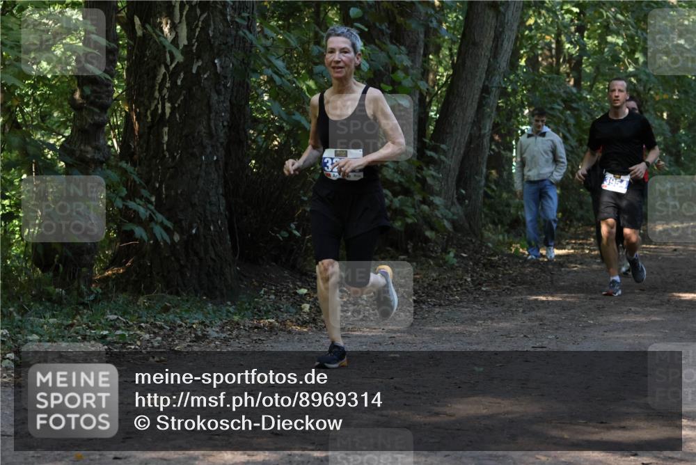 28.09.2025 - 33. Volkslauf durch das schöne Alstertal Strokosch-Dieckow http://msf.ph/oto/8969314 28.09.2025 11:25:31 Laufen 32 meine-sportfotos.de