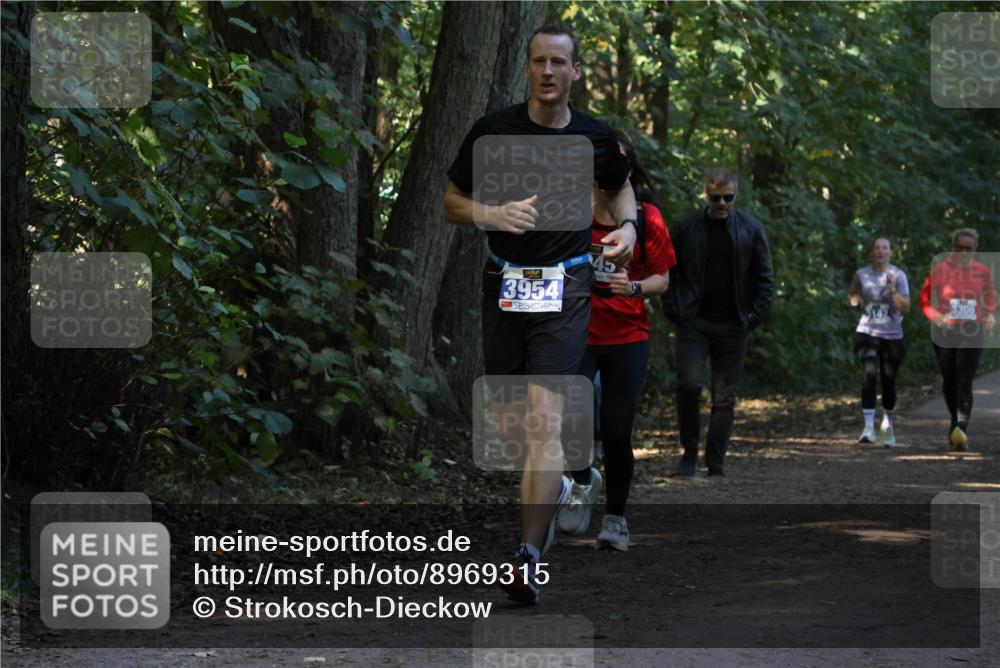 28.09.2025 - 33. Volkslauf durch das schöne Alstertal Strokosch-Dieckow http://msf.ph/oto/8969315 28.09.2025 11:25:33 Laufen 3954 meine-sportfotos.de