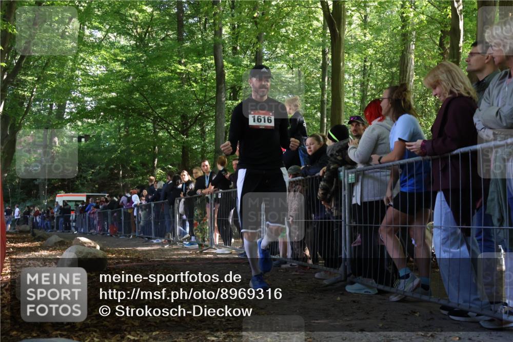 28.09.2025 - 33. Volkslauf durch das schöne Alstertal Strokosch-Dieckow http://msf.ph/oto/8969316 28.09.2025 11:49:37 Ziel 1616 meine-sportfotos.de