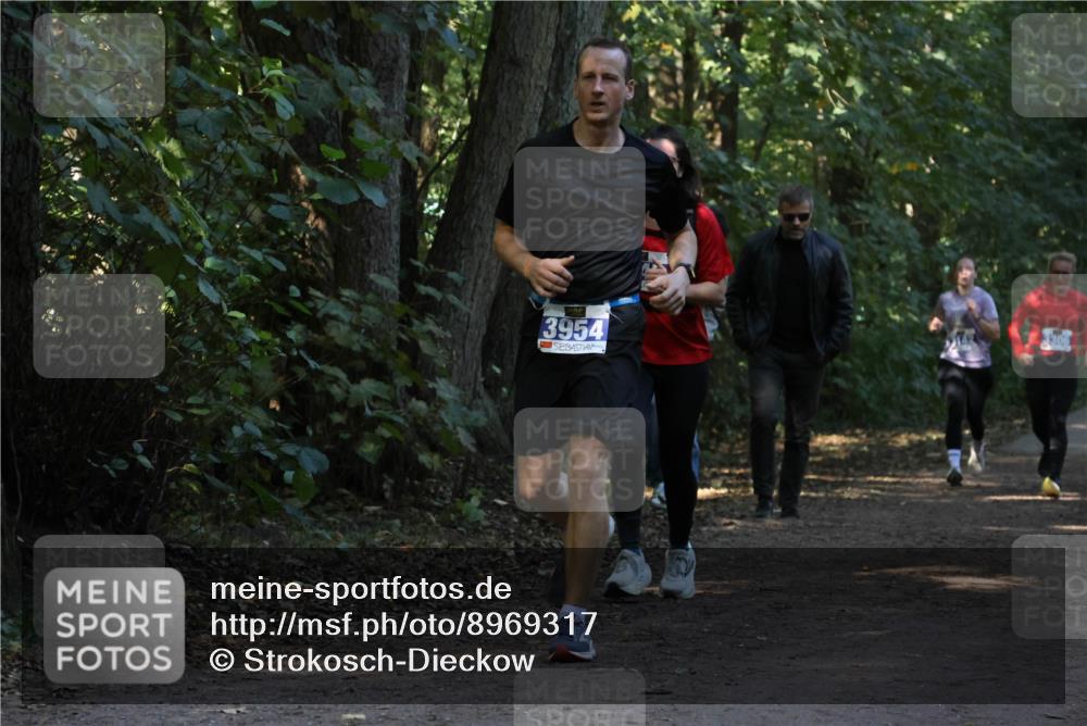 28.09.2025 - 33. Volkslauf durch das schöne Alstertal Strokosch-Dieckow http://msf.ph/oto/8969317 28.09.2025 11:25:33 Laufen 3954 meine-sportfotos.de