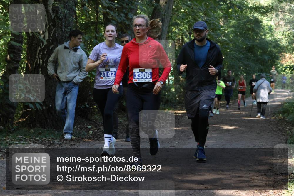 28.09.2025 - 33. Volkslauf durch das schöne Alstertal Strokosch-Dieckow http://msf.ph/oto/8969322 28.09.2025 11:25:42 Laufen 3142, 3306 meine-sportfotos.de