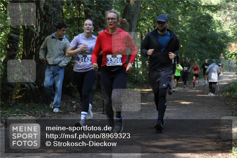 28.09.2025 - 33. Volkslauf durch das schöne Alstertal Strokosch-Dieckow http://msf.ph/oto/8969323 28.09.2025 11:25:42 Laufen 3142, 3306 meine-sportfotos.de
