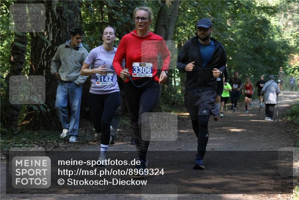 28.09.2025 - 33. Volkslauf durch das schöne Alstertal Strokosch-Dieckow http://msf.ph/oto/8969324 28.09.2025 11:25:42 Laufen 3142, 3306 meine-sportfotos.de
