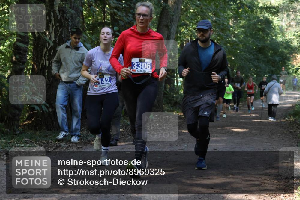28.09.2025 - 33. Volkslauf durch das schöne Alstertal Strokosch-Dieckow http://msf.ph/oto/8969325 28.09.2025 11:25:42 Laufen 142, 3306 meine-sportfotos.de