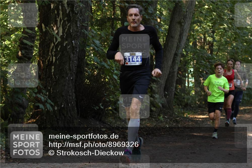 28.09.2025 - 33. Volkslauf durch das schöne Alstertal Strokosch-Dieckow http://msf.ph/oto/8969326 28.09.2025 11:25:46 Laufen 3144 meine-sportfotos.de
