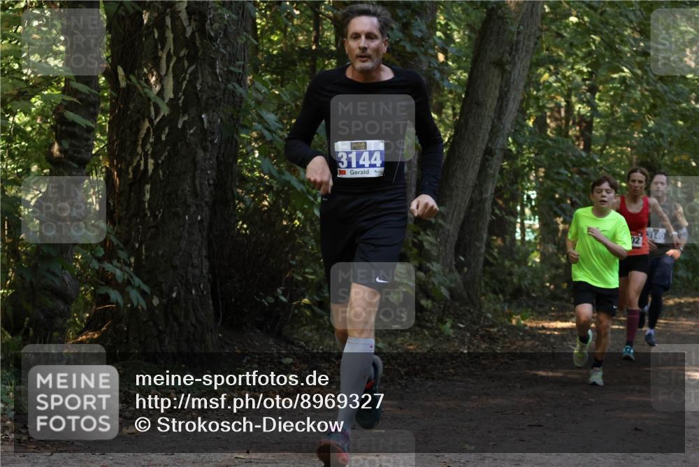 28.09.2025 - 33. Volkslauf durch das schöne Alstertal Strokosch-Dieckow http://msf.ph/oto/8969327 28.09.2025 11:25:46 Laufen 3144, 02, 3140 meine-sportfotos.de