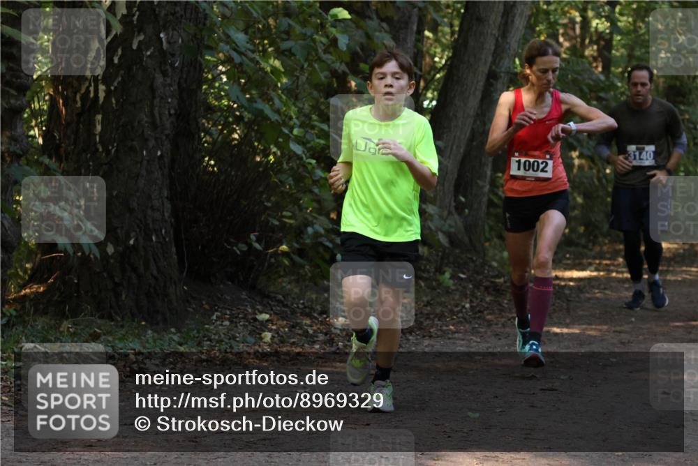 28.09.2025 - 33. Volkslauf durch das schöne Alstertal Strokosch-Dieckow http://msf.ph/oto/8969329 28.09.2025 11:25:48 Laufen 3140, 1002 meine-sportfotos.de