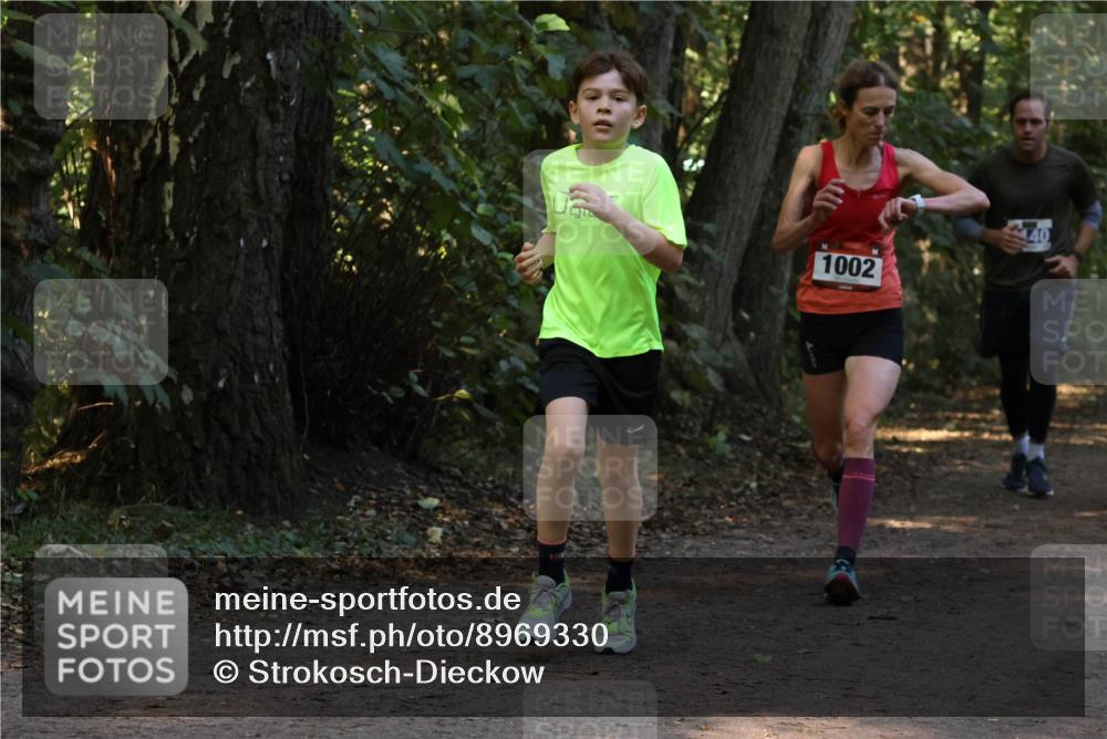 28.09.2025 - 33. Volkslauf durch das schöne Alstertal Strokosch-Dieckow http://msf.ph/oto/8969330 28.09.2025 11:25:48 Laufen 40, 1002 meine-sportfotos.de