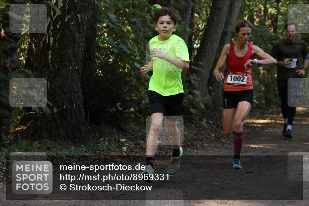 28.09.2025 - 33. Volkslauf durch das schöne Alstertal Strokosch-Dieckow http://msf.ph/oto/8969331 28.09.2025 11:25:49 Laufen 1002 meine-sportfotos.de