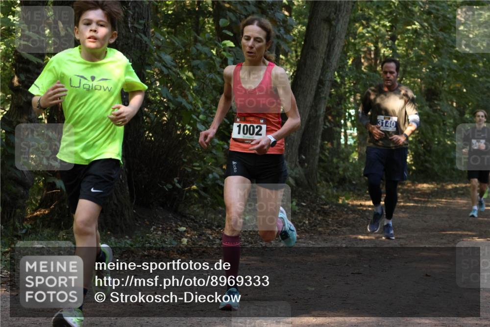 28.09.2025 - 33. Volkslauf durch das schöne Alstertal Strokosch-Dieckow http://msf.ph/oto/8969333 28.09.2025 11:25:50 Laufen 1002, 3140 meine-sportfotos.de