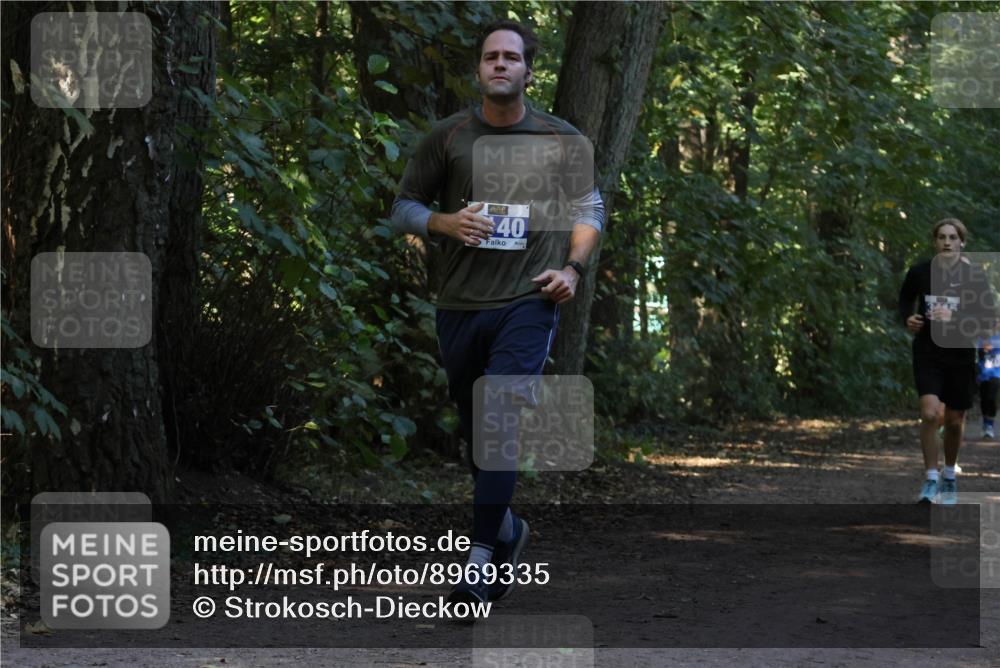 28.09.2025 - 33. Volkslauf durch das schöne Alstertal Strokosch-Dieckow http://msf.ph/oto/8969335 28.09.2025 11:25:52 Laufen 40 meine-sportfotos.de