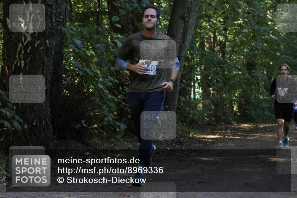 28.09.2025 - 33. Volkslauf durch das schöne Alstertal Strokosch-Dieckow http://msf.ph/oto/8969336 28.09.2025 11:25:52 Laufen 40, 3415 meine-sportfotos.de