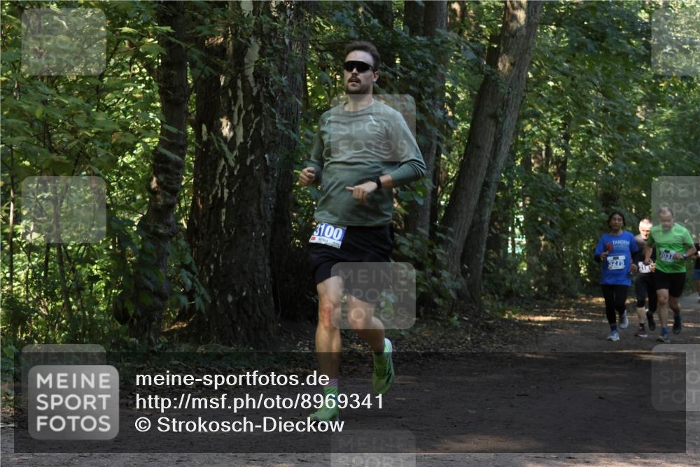 28.09.2025 - 33. Volkslauf durch das schöne Alstertal Strokosch-Dieckow http://msf.ph/oto/8969341 28.09.2025 11:26:00 Laufen 3100, 3275 meine-sportfotos.de