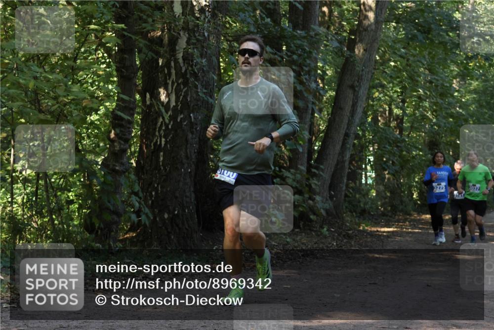 28.09.2025 - 33. Volkslauf durch das schöne Alstertal Strokosch-Dieckow http://msf.ph/oto/8969342 28.09.2025 11:26:01 Laufen 3275, 3037 meine-sportfotos.de