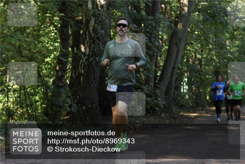 28.09.2025 - 33. Volkslauf durch das schöne Alstertal Strokosch-Dieckow http://msf.ph/oto/8969343 28.09.2025 11:26:01 Laufen 3100 meine-sportfotos.de