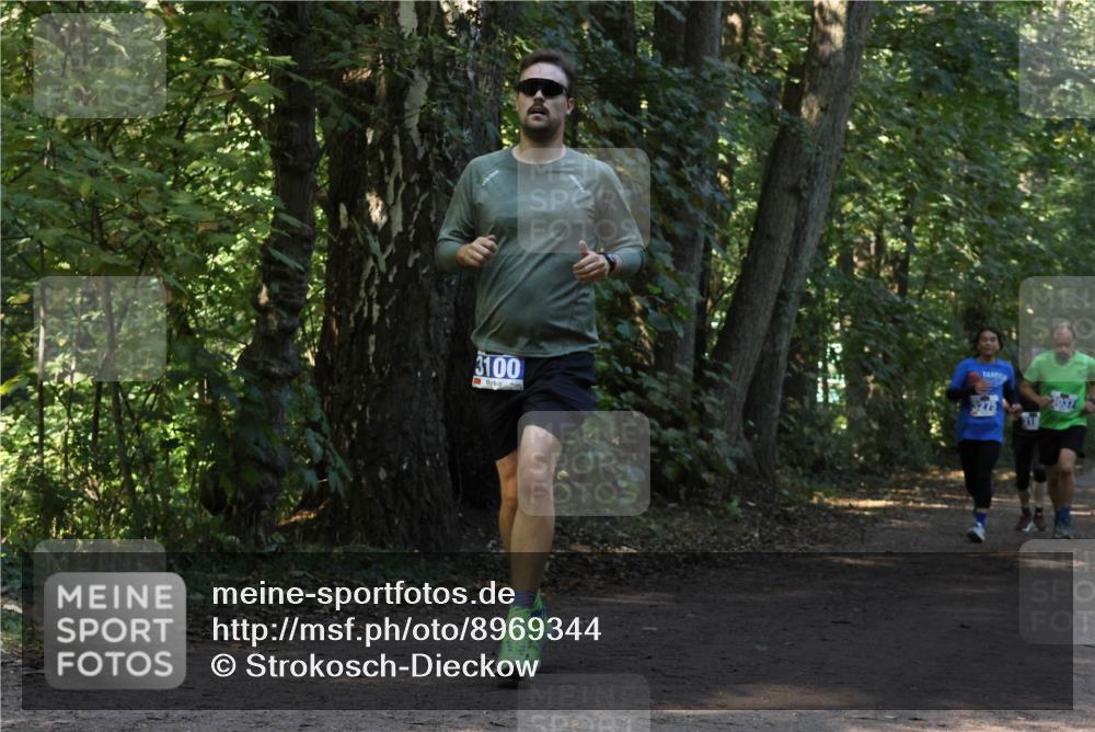 28.09.2025 - 33. Volkslauf durch das schöne Alstertal Strokosch-Dieckow http://msf.ph/oto/8969344 28.09.2025 11:26:01 Laufen 100, 3037, 3275 meine-sportfotos.de