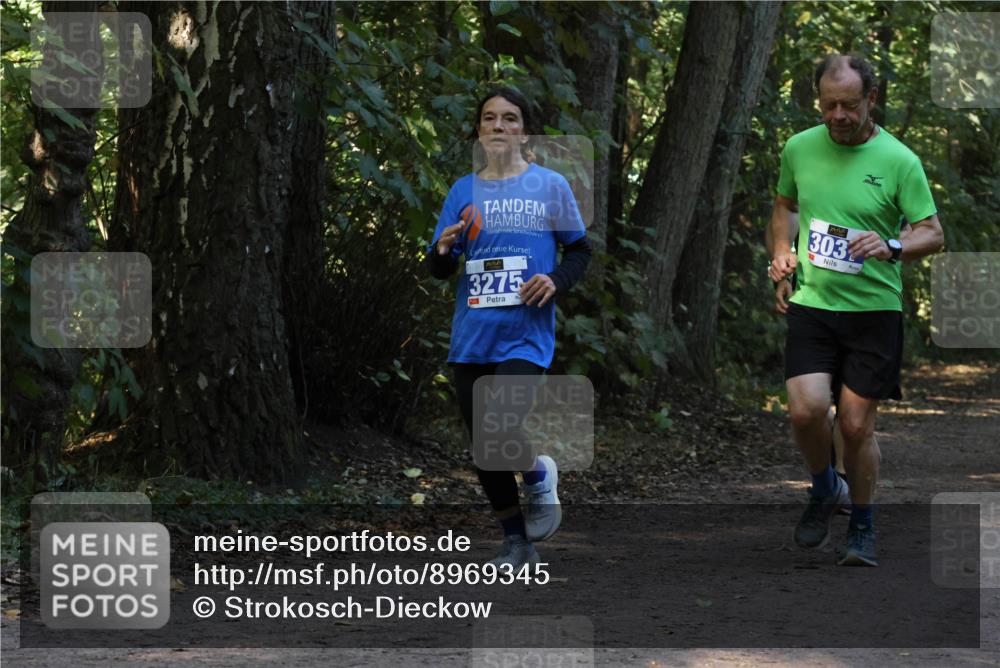 28.09.2025 - 33. Volkslauf durch das schöne Alstertal Strokosch-Dieckow http://msf.ph/oto/8969345 28.09.2025 11:26:04 Laufen 3275, 303 meine-sportfotos.de