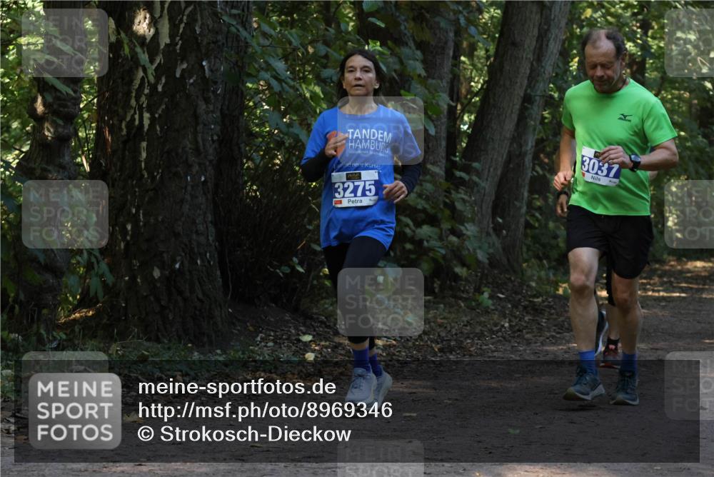 28.09.2025 - 33. Volkslauf durch das schöne Alstertal Strokosch-Dieckow http://msf.ph/oto/8969346 28.09.2025 11:26:04 Laufen 3275, 3037 meine-sportfotos.de