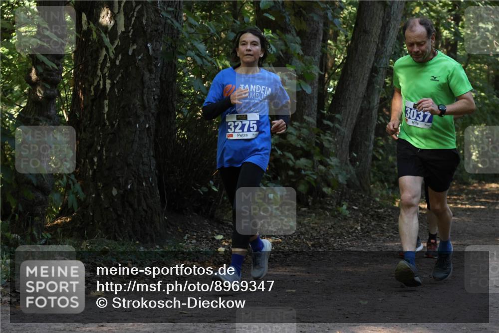 28.09.2025 - 33. Volkslauf durch das schöne Alstertal Strokosch-Dieckow http://msf.ph/oto/8969347 28.09.2025 11:26:04 Laufen 3275, 3037 meine-sportfotos.de