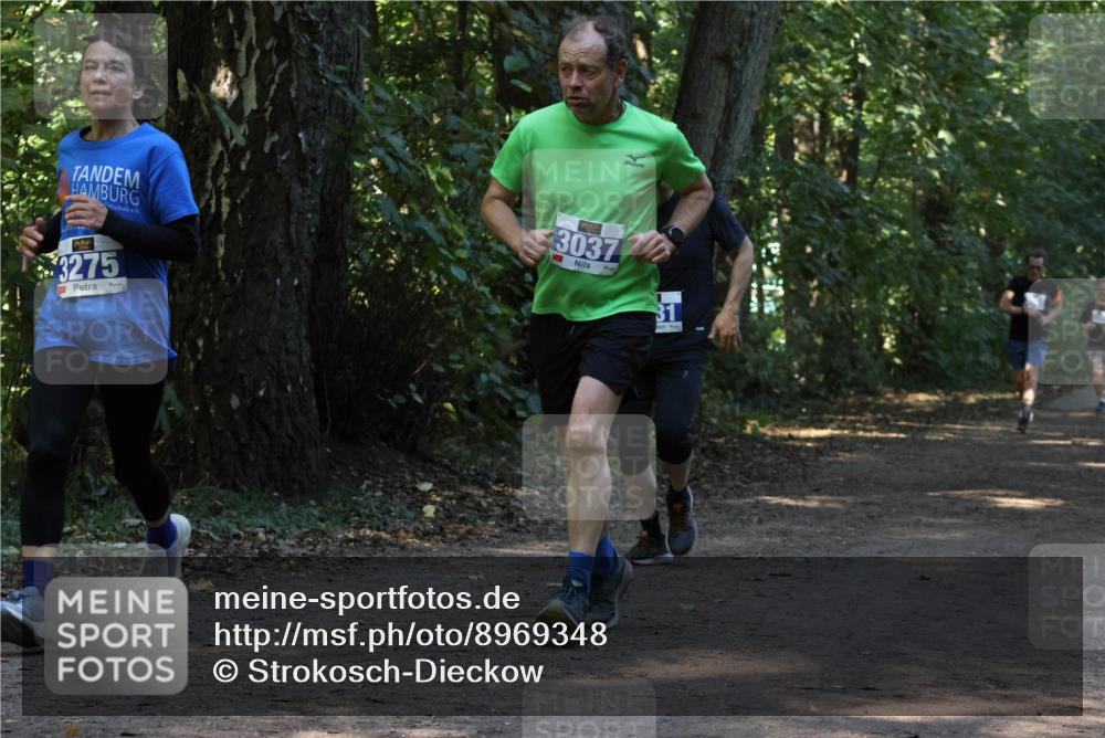 28.09.2025 - 33. Volkslauf durch das schöne Alstertal Strokosch-Dieckow http://msf.ph/oto/8969348 28.09.2025 11:26:05 Laufen 3275, 3037, 31 meine-sportfotos.de