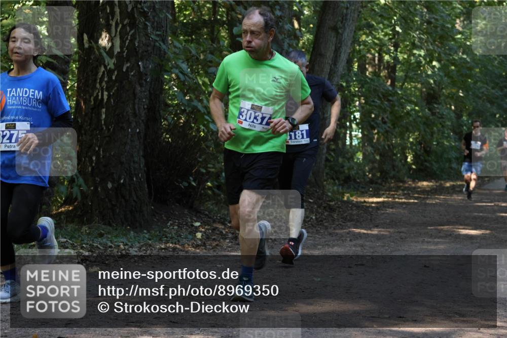 28.09.2025 - 33. Volkslauf durch das schöne Alstertal Strokosch-Dieckow http://msf.ph/oto/8969350 28.09.2025 11:26:06 Laufen 3275, 3037, 181 meine-sportfotos.de