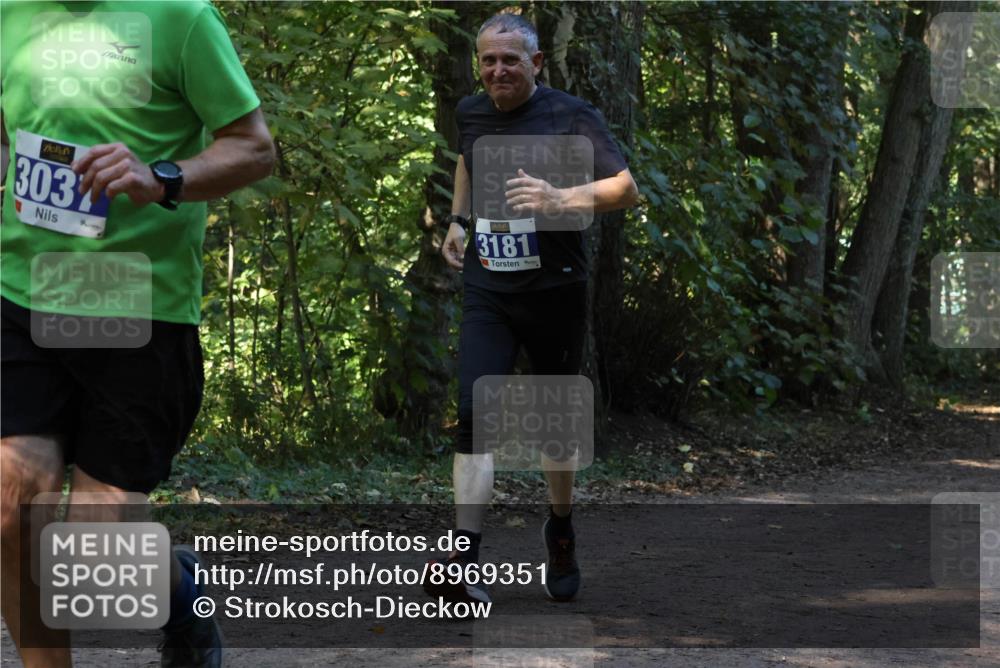 28.09.2025 - 33. Volkslauf durch das schöne Alstertal Strokosch-Dieckow http://msf.ph/oto/8969351 28.09.2025 11:26:07 Laufen 303, 3181 meine-sportfotos.de