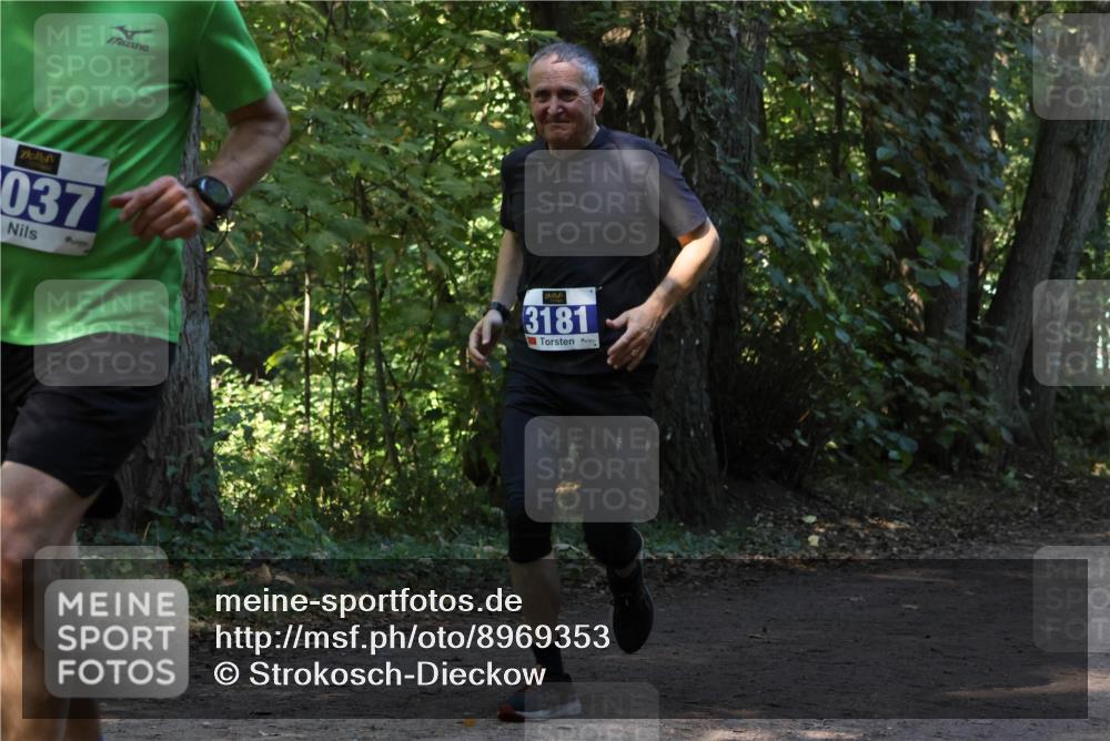 28.09.2025 - 33. Volkslauf durch das schöne Alstertal Strokosch-Dieckow http://msf.ph/oto/8969353 28.09.2025 11:26:07 Laufen 037, 3181 meine-sportfotos.de
