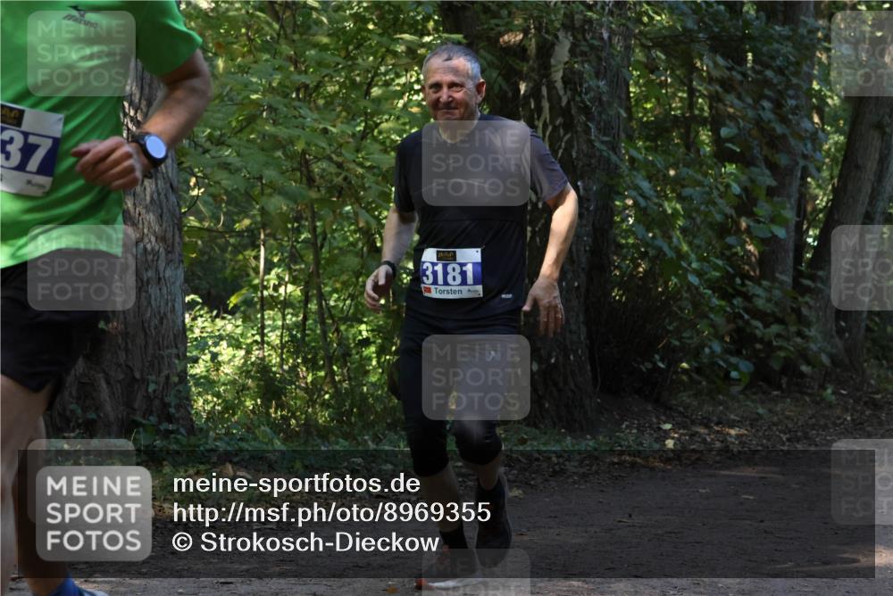 28.09.2025 - 33. Volkslauf durch das schöne Alstertal Strokosch-Dieckow http://msf.ph/oto/8969355 28.09.2025 11:26:08 Laufen 37, 3181 meine-sportfotos.de