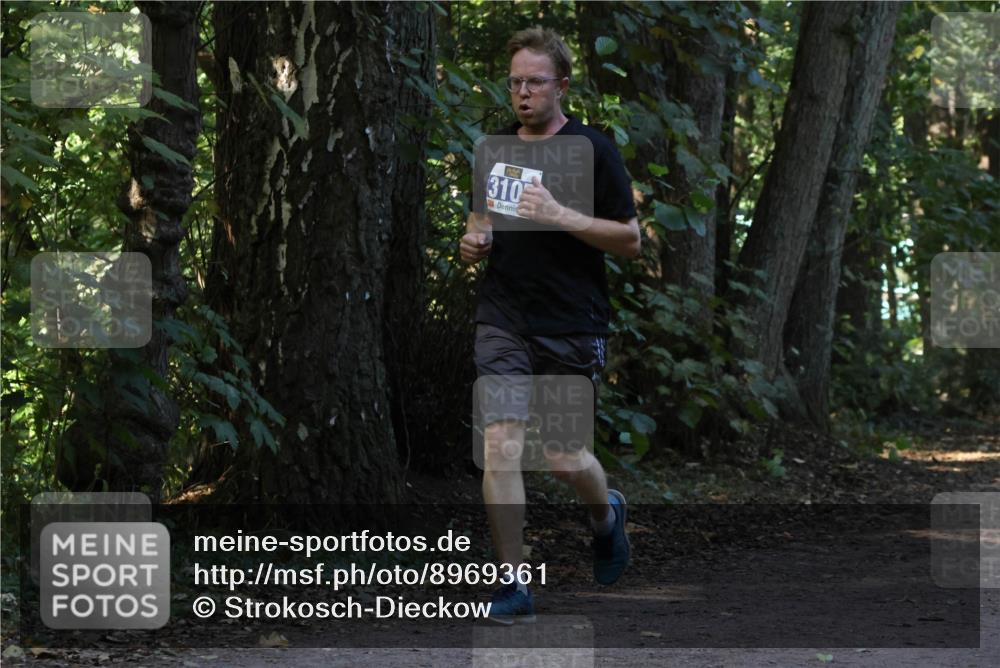 28.09.2025 - 33. Volkslauf durch das schöne Alstertal Strokosch-Dieckow http://msf.ph/oto/8969361 28.09.2025 11:26:19 Laufen 310 meine-sportfotos.de