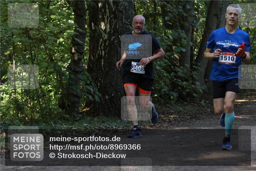 28.09.2025 - 33. Volkslauf durch das schöne Alstertal Strokosch-Dieckow http://msf.ph/oto/8969366 28.09.2025 11:26:29 Laufen 3405, 2017, 1510 meine-sportfotos.de