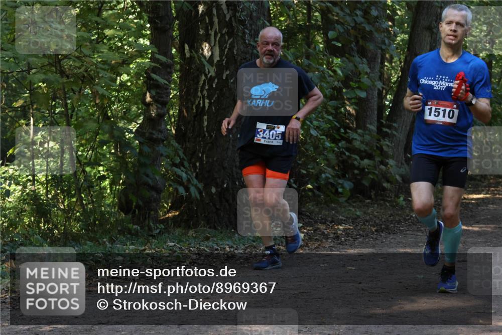 28.09.2025 - 33. Volkslauf durch das schöne Alstertal Strokosch-Dieckow http://msf.ph/oto/8969367 28.09.2025 11:26:29 Laufen 3405, 2017, 1510 meine-sportfotos.de