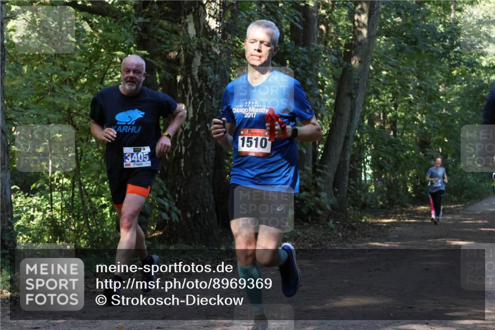28.09.2025 - 33. Volkslauf durch das schöne Alstertal Strokosch-Dieckow http://msf.ph/oto/8969369 28.09.2025 11:26:30 Laufen 2017, 3405, 1510 meine-sportfotos.de