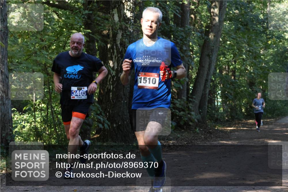 28.09.2025 - 33. Volkslauf durch das schöne Alstertal Strokosch-Dieckow http://msf.ph/oto/8969370 28.09.2025 11:26:30 Laufen 3405, 2017, 1510 meine-sportfotos.de